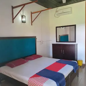 Ceylonica ** Негомбо